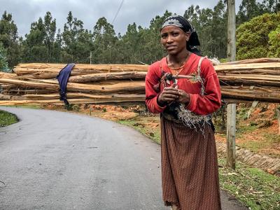 Ethiopian woman with large bundle of firewood strapped to her back