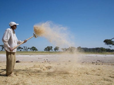 Ethiopian farmer