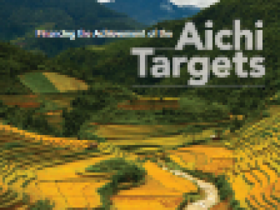 Financing_the_Achievement_of_the_Aichai_Targets_0.PNG