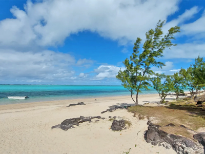 Coastline of Rodrigues Island, Mauritius. Boat and trees on a beach setting