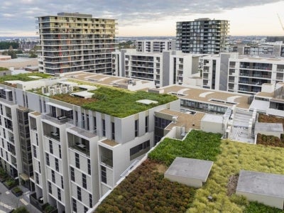 Green rooftops in Australia
