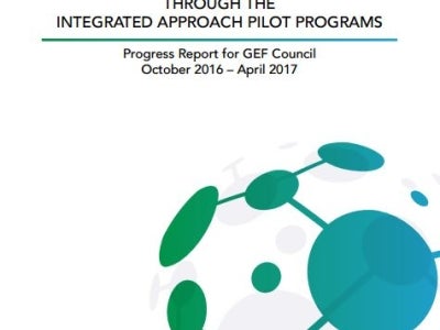 IAP Progress report cover