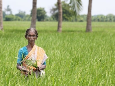 Woman farmer in India