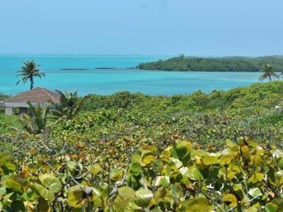 A view of Isla Contoy National Park, Quintana Roo. 