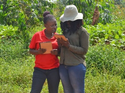 Ugandan women comparing forest data