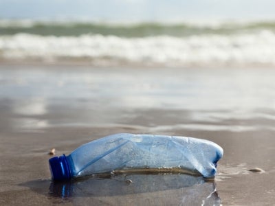 Plastic bottle stuck in sand near ocean.