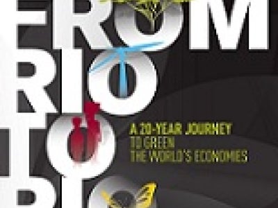 From Rio to Rio - A 20-Year Journey to Green the World's Economies