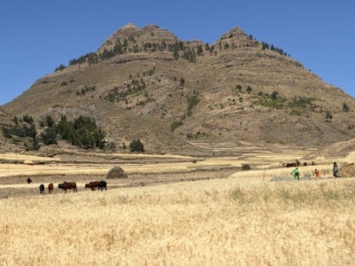 Farmers working in a desert landscape in Ethiopia.