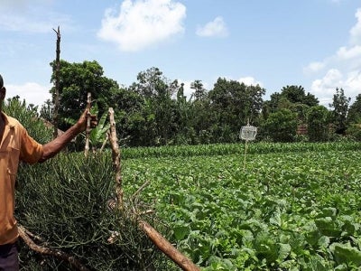 A farmer in Ethiopia stands next to one of his fields