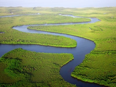 Winding river through virgin forests in The Gambia