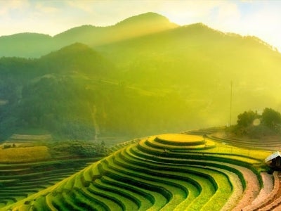 Rice fields on terraces of Mu Cang Chai, YenBai, Vietnam.