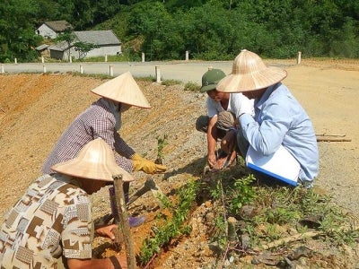 Vietnamese locals working on roadside as part of infrastructure improvement project