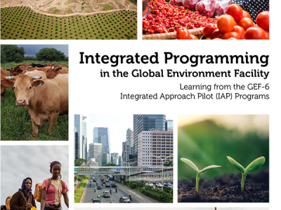 Cover image for publication "Integrated Programming in the Global Environment Facility: Learning from the GEF-6 IAP Programs"