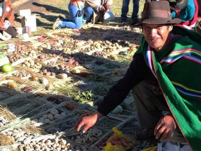 Peruvian man crouching next to harvest