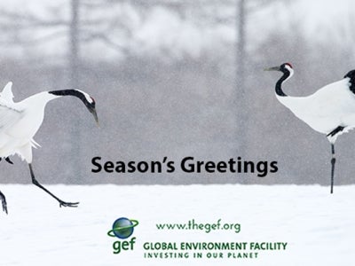 Two cranes on snowy background with \"season's greetings\" text overlaid