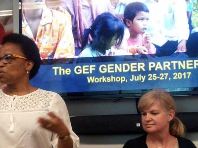 GEF Gender Partnership