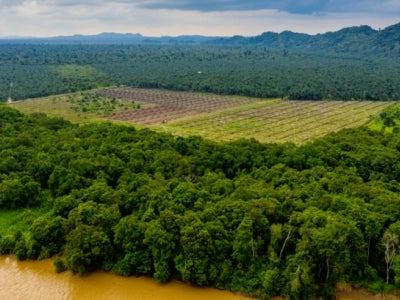 IPCC report finds that land is under growing human pressure, and that climate change is adding to challenges such as degradation, desertification, deforestation, and food insecurity. Photo: Richard Whitcombe/Shutterstock 