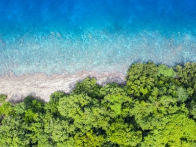 Aerial view of reef and rainforest in Papua New Guinea