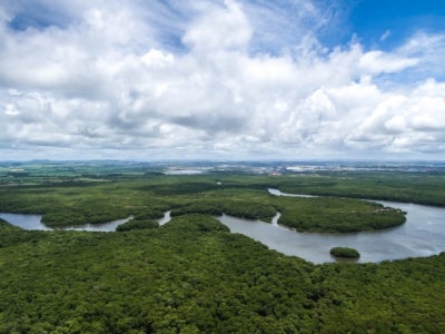 Aerial shot of Amazon rainforest in Brazil, South America. Photo: Gustavo Frazao/Shutterstock.