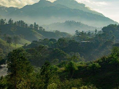 Sunrise over the Guatemalan jungle