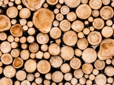 Stacks of cut logs 