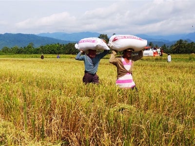 People carrying crops on their heads