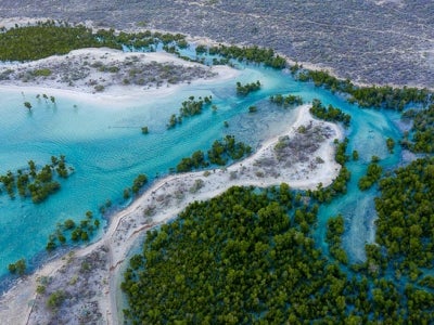 Bay of Assassins aerial shot