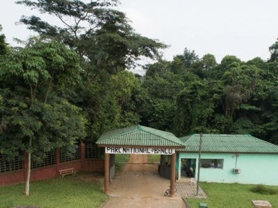 Entrance to Banco National Park in Cote d'Ivoire