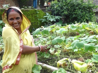 Woman tending garden in India