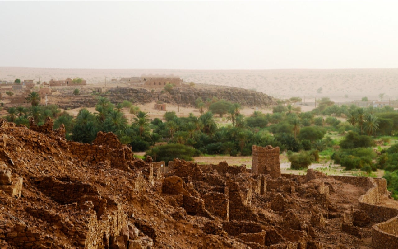 Ruins of the Ouadane fortress in Mauritania with trees