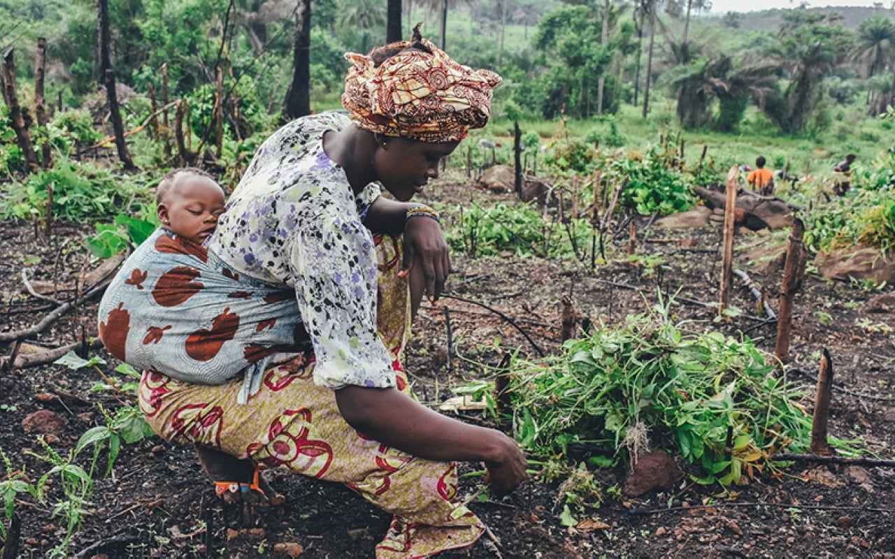 Woman with baby farming cassava in Sierra Leone