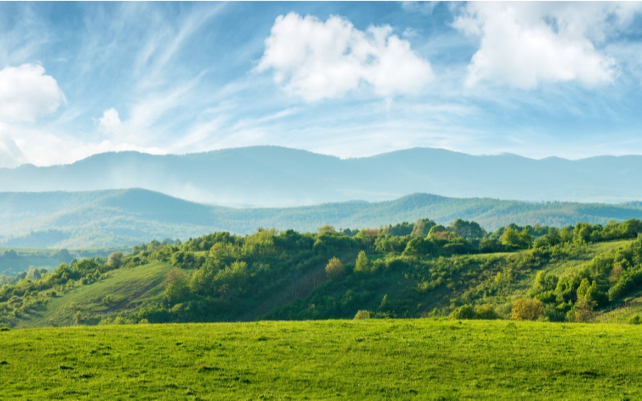 Panorama of grassy hills in Romania