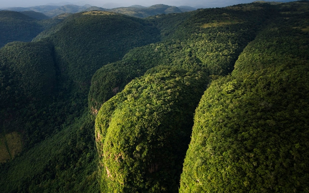 Large forested mountainous area in Guinea