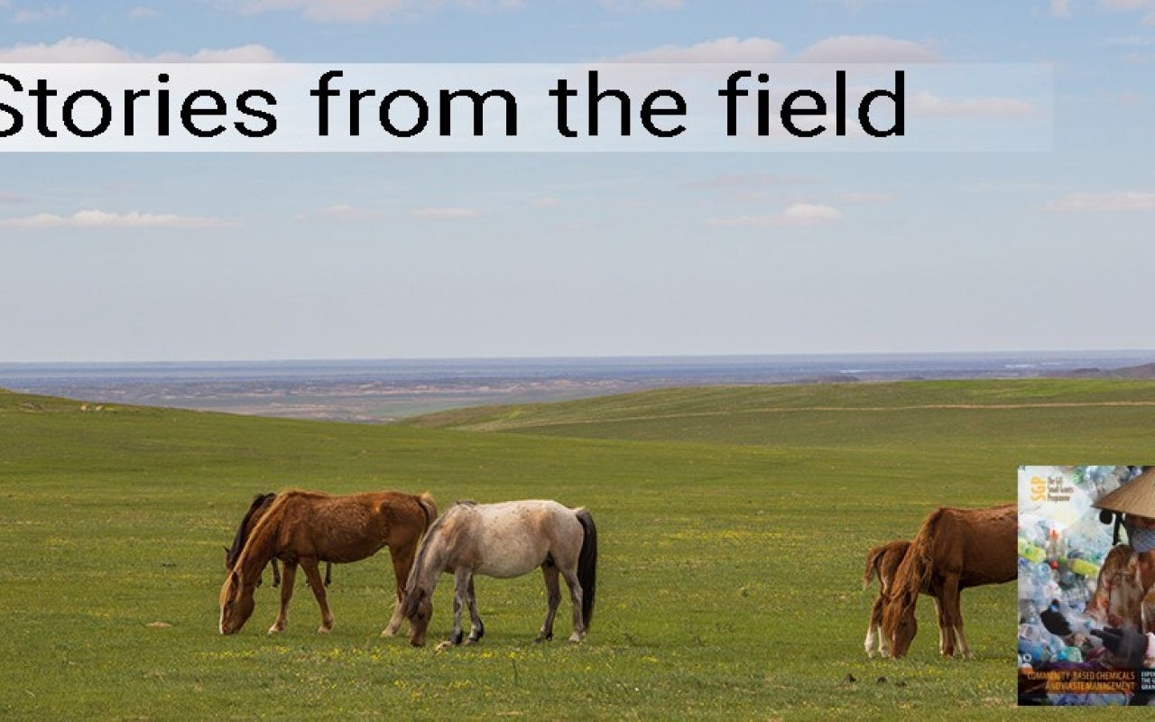 Horses on steppes of Kazakhstan