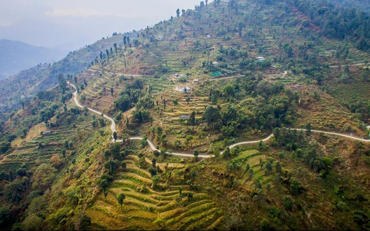 Bhutan terraced fields