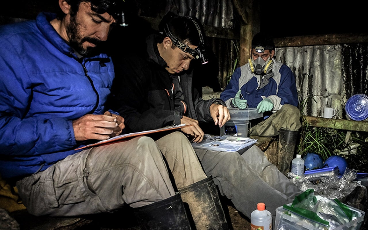 Scientists in the field cataloging the day's findings