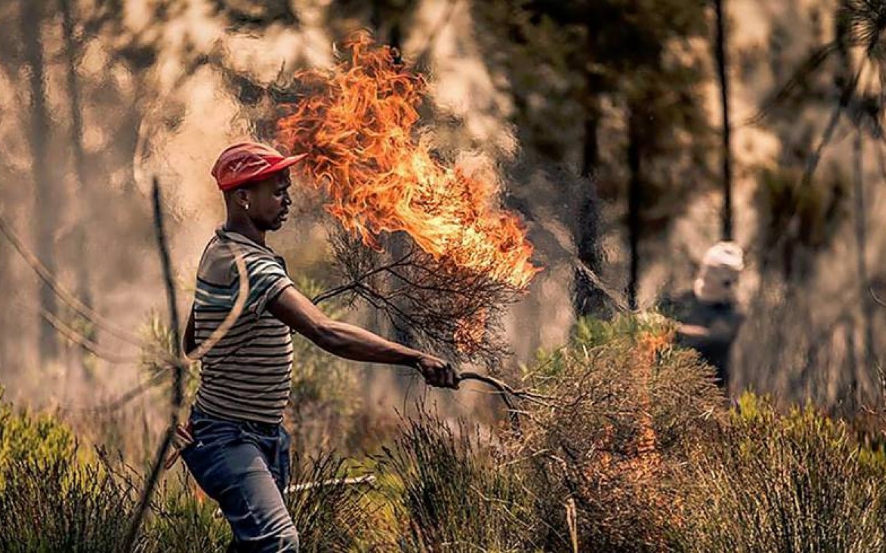 Farm workers assisting with fire break creation | Photo credit: Sullivan Photography