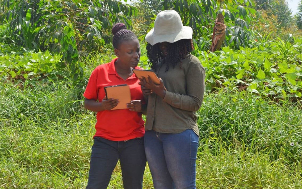 Ugandan women comparing forest data