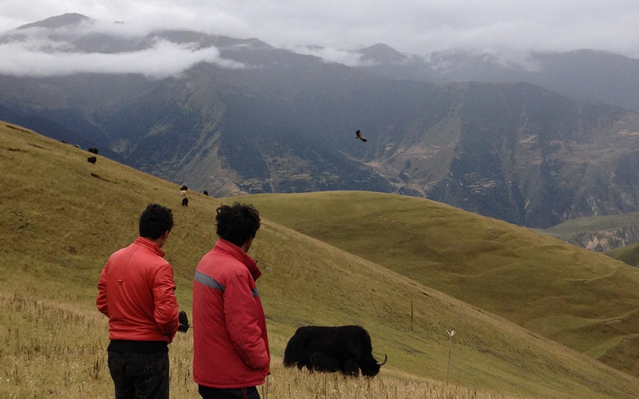 Chinese villagers looking out over a backdrop of mountains with buffalo grazing and an eagle flying nearby.