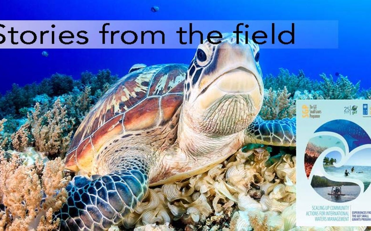 Saving Sea Turtles template.jpg