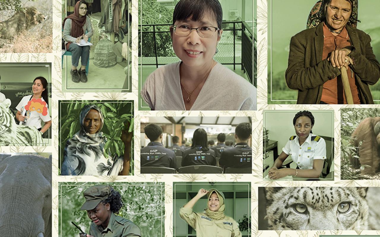 Mosaic image of women highlighted in Global Wildlife Program piece by UNDP
