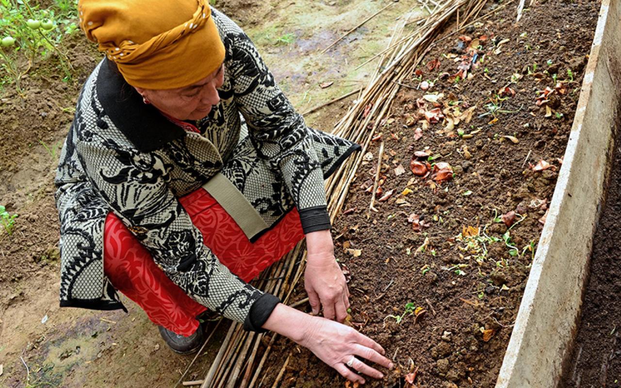 A woman in Turkmenistan showing her compost pile