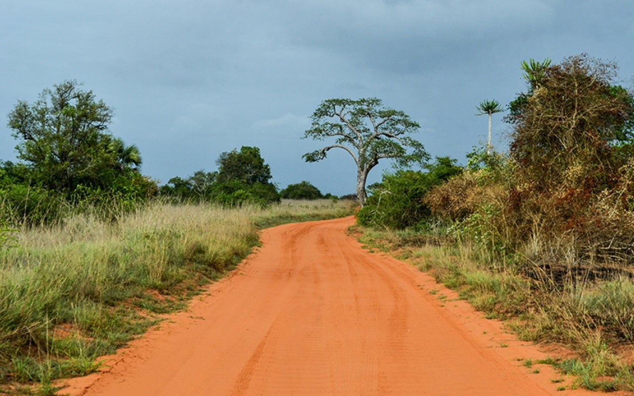 Dirt road in Quicama National Park in Angola