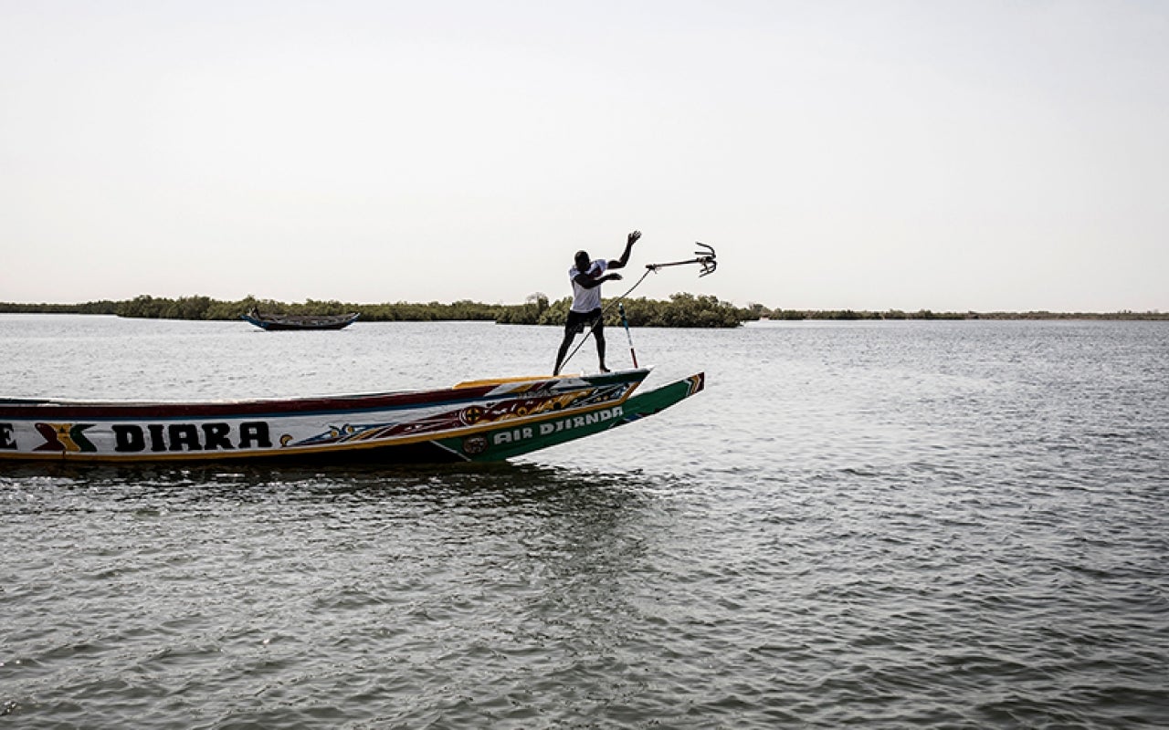A man anchors his boat along the mangroves of the Saloum delta in Senegal