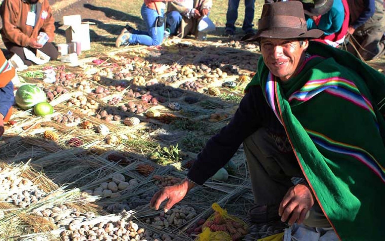 Peruvian man crouching next to harvest
