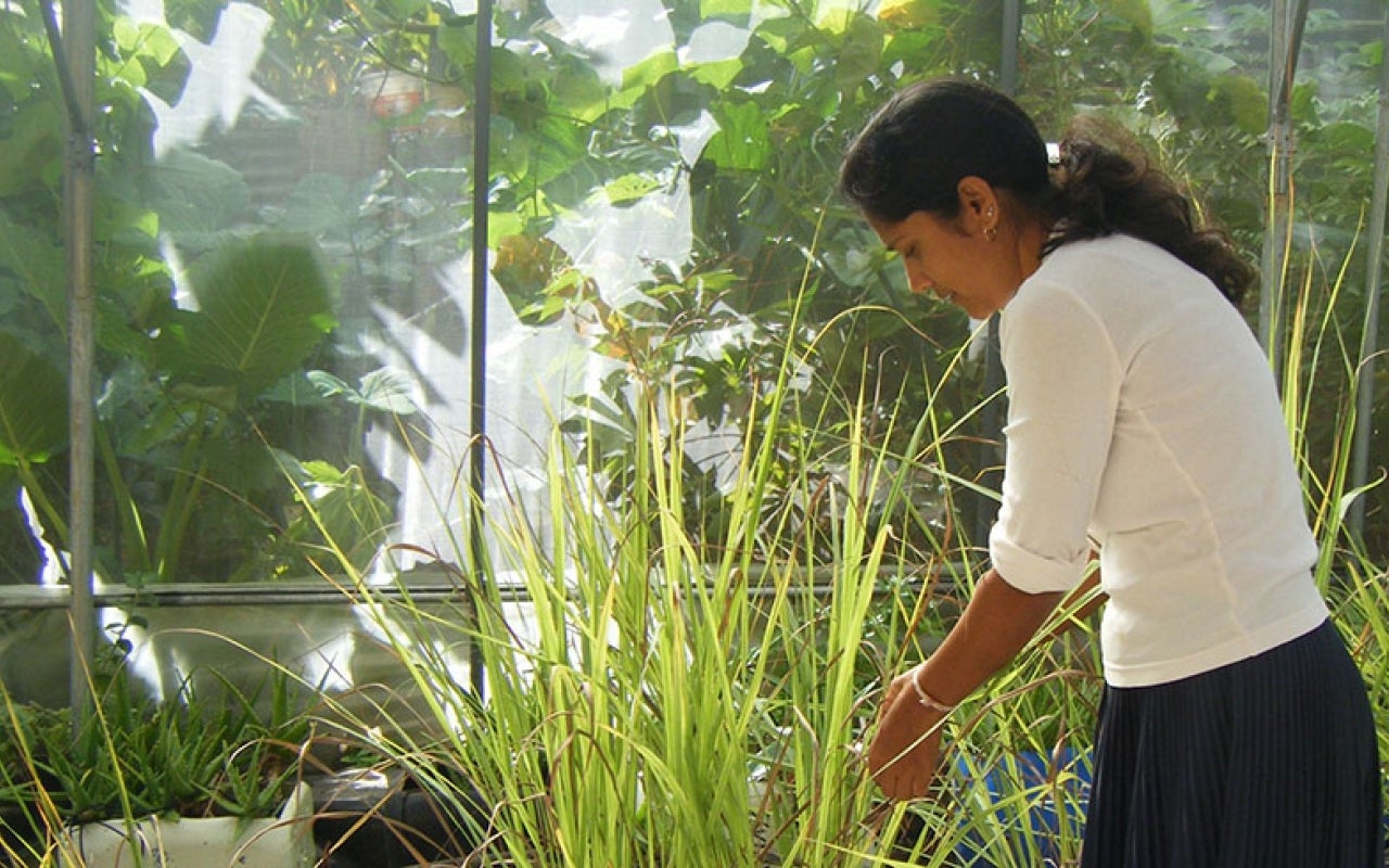 The exploration of women’s unique knowledge to increase their income is a very innovative way of women empowerment which echoes the theme for this year's International Women’s Day: Think Equal, Build Smart, Innovate for Change. Photo: SGP Mauritius and Grandma's Secret.