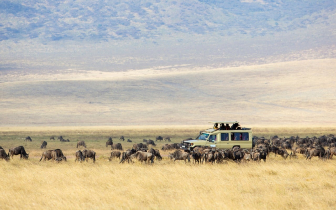 Safari tourists in Ngorongoro, Tanzania