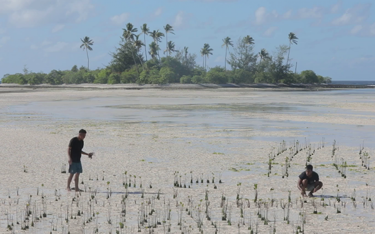 Men picking crops from beach in Kiribati