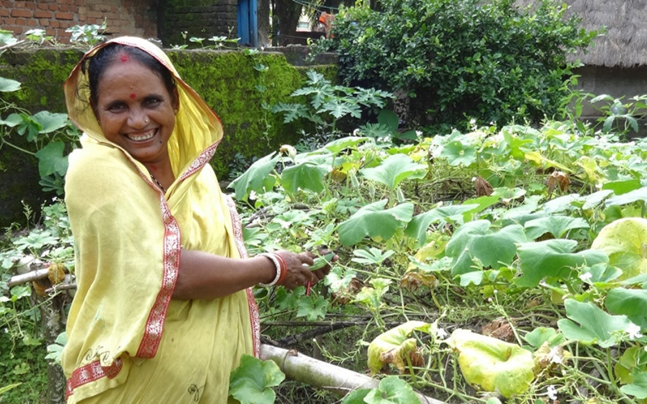 Woman tending garden in India