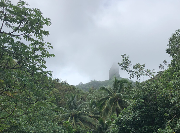 Cook Island peak Te Rua Manga in the fog, from a distance